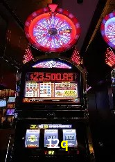 Experiência VIP 12q