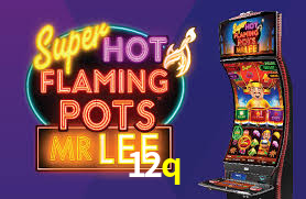 Explore as vantagens do 12q: serviço profissional e confiabilidade